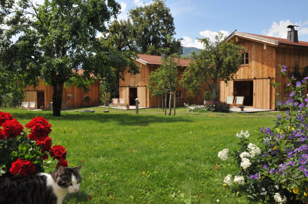 Gesamtansicht Chalets | Lohei - Chalets im Chiemgau Gesamtansicht Chalets | Lohei - Chalets im Chiemgau